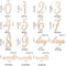19pcs Wooden Baby Milestone Card For Newborn Baby Photography Engraved Age Milestone Wood Card Month Sticker Newborn Gifts