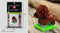 Mini Building Blocks 3D Animal  Diamond Model Micro Bricks Dog Cat Bird Moose Wolf Panda Macaw Toys For Children Birthday Gifts