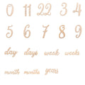 19pcs Wooden Baby Milestone Card For Newborn Baby Photography Engraved Age Milestone Wood Card Month Sticker Newborn Gifts