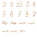 19pcs Wooden Baby Milestone Card For Newborn Baby Photography Engraved Age Milestone Wood Card Month Sticker Newborn Gifts