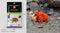 Mini Building Blocks 3D Animal  Diamond Model Micro Bricks Dog Cat Bird Moose Wolf Panda Macaw Toys For Children Birthday Gifts