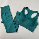 2/3/4pcs Seamless Yoga Set Women Gym Clothes Sportswear Yoga  Suits for Fitness Gym Set Underwear Tracksuits Leggings Sports Bra