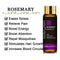 10ML Lavender Eucalyptus Pure Essential Oils Rose Lemon Jasmine Vanilla Mint Sandalwood Bergamot Tea Tree Diffuser Aroma Oil