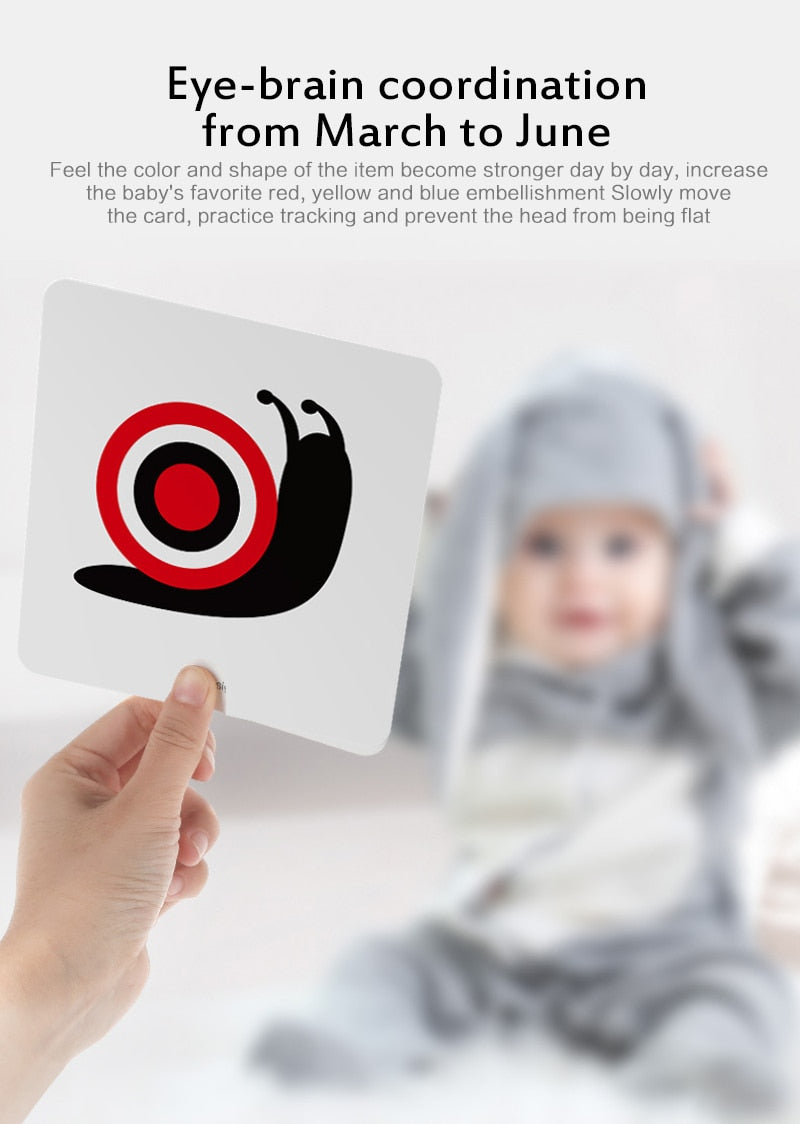 0-36M Baby Early Education Card Black And White Cards  Color Training Visual Stimulation Montessori Shape Animal Cognitive Toys