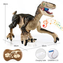 2.4G RC Dinosaur Raptor Jurassic world Remote Control Velociraptor Toy Electric Walking dragon Toys For Children Christmas Gifts
