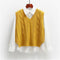 Vest Women Solid Short Loose Trendy Korean Style Sleeveless Knitted V-Neck All-match Female Coats Simple Leisure Outwear ZY5117
