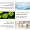 Crocodile Anti-Aging Eye Cream Remove Dark Circles Puffiness Lighten Fine Lines Whitening Moisturizing Eye Care