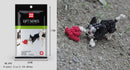Mini Building Blocks 3D Animal  Diamond Model Micro Bricks Dog Cat Bird Moose Wolf Panda Macaw Toys For Children Birthday Gifts