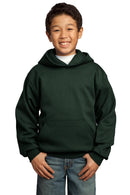 Port & Company Fleece Hoodies For Boys PC90YH