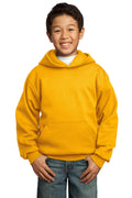 Port & Company Fleece Hoodies For Boys PC90YH