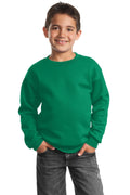 Port & Company Boys Vintage Crewneck Sweatshirt PC90Y