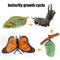 Animal Life Cycle Board Children Toys Montessori Teaching Aids Plant Animal Growth Cycle Model Set preschool cognitive Toys