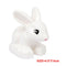 Big Building Block Accessories Chicken Duck Dog Cat Bird Cattle Sheep Zebra Rhinoceros Insect Zoo Series DIY Duploes Toy Gift