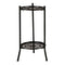 Two-Layer Elegant Metal Plant Stand Shelf Potted Plant Holder Modern Tall Plant Pot Stands for Indoor Outdoor Decor