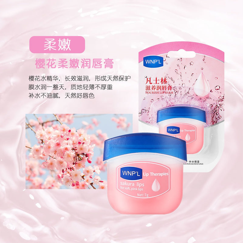 6PCs Lip Balm Moisturizing Lipstick Base Moisturizer Makeup Natural Plant Anti-Cracking Lip Care Petroleum Jelly Lip Balm