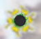 Cartoon Anime Ninjas Fidget Spinner Top 3D Dynamic Running Gyroscope Kawaii Stress Relief  Kid Decompression Toys Fingertip Gyro