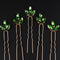 5 Pcs Rhinestones Little Simple Bride Wedding Hair Pins Silver Bridal Hair Piece Wedding Hair Accessories for Women and Girls