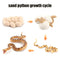 Animal Life Cycle Board Children Toys Montessori Teaching Aids Plant Animal Growth Cycle Model Set preschool cognitive Toys