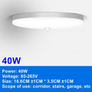 LED Ceiling Lights PIR Motion Sensor Smart Home Lighting 12W 18W 20W 30W 40W Ceiling Lamp For Room Hallways Corridor  110V 220V
