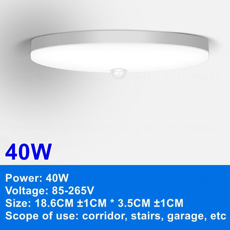 LED Ceiling Lights PIR Motion Sensor Smart Home Lighting 12W 18W 20W 30W 40W Ceiling Lamp For Room Hallways Corridor  110V 220V