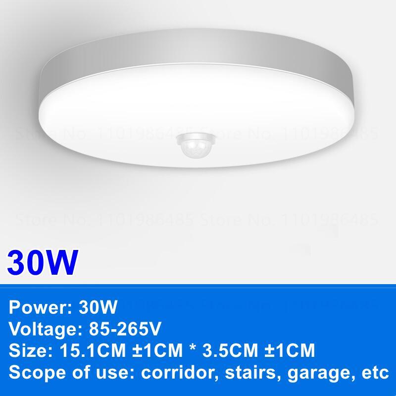 LED Ceiling Lights PIR Motion Sensor Smart Home Lighting 12W 18W 20W 30W 40W Ceiling Lamp For Room Hallways Corridor  110V 220V
