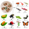 Animal Life Cycle Board Children Toys Montessori Teaching Aids Plant Animal Growth Cycle Model Set preschool cognitive Toys