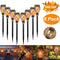 |136:865#8 Pack|3256804271783091-8 Pack