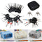 |200022264:361385#11Pcs with box|200022264:361386#18Pcs with box|200022264:100014064#26Pcs with box|3256803824953109-11Pcs with box|3256803824953109-18Pcs with box|3256803824953109-26Pcs with box