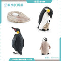 Animal Life Cycle Board Children Toys Montessori Teaching Aids Plant Animal Growth Cycle Model Set preschool cognitive Toys