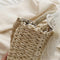 Women Shoulder Bag 2022 Straw Purses and Handbags Spring And Summer Female Shopper Fashion Solid Color Silk Scarf Crossbody Bags