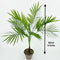 Multiple Green Large Artificial Palm Tree Plastic Plants Garden Home Outdoor Decorations Scutellaria Tropical Tree Fake Plants