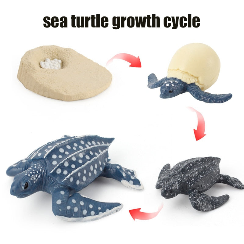 Animal Life Cycle Board Children Toys Montessori Teaching Aids Plant Animal Growth Cycle Model Set preschool cognitive Toys