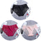 3Pcs/Lot Lace Women&