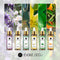 Cheap 10ml 100% Nature Aromatherapy Diffuser Humidifier Massage Lavender Vanilla Eucalyptus Rose Jasmine Lemon Essential Oils