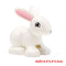 Big Building Block Accessories Chicken Duck Dog Cat Bird Cattle Sheep Zebra Rhinoceros Insect Zoo Series DIY Duploes Toy Gift