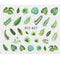 1Pcs Water Nail Decal and Sticker Flower Leaf Tree Green Simple Summer DIY Slider for Manicure Nail Art Watermark Manicure Decor