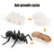 Animal Life Cycle Board Children Toys Montessori Teaching Aids Plant Animal Growth Cycle Model Set preschool cognitive Toys