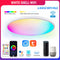 Smart WIFI LED Round Ceiling Light RGBCW Dimmable TUYA APP Compatible with Alexa Google Home Bedroom Living Room Ambient Light