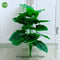 Multiple Green Large Artificial Palm Tree Plastic Plants Garden Home Outdoor Decorations Scutellaria Tropical Tree Fake Plants