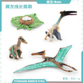 Animal Life Cycle Board Children Toys Montessori Teaching Aids Plant Animal Growth Cycle Model Set preschool cognitive Toys