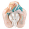 New Upgrades Baby Swimming Float Inflatable Infant Floating Kids Swim Ring Circle Bathing Summer Toys Toddler Rings
