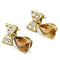 Gold Drop Earrings TK1487 Gold - Stainless Steel Earrings with AAA Grade CZ