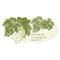 A Wine Romance Large Cling Berry (Pack of 1)-Wedding Signs-Willow Green-JadeMoghul Inc.