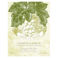 A Wine Romance Save The Date Card Berry (Pack of 1)-Weddingstar-Vintage Gold-JadeMoghul Inc.