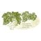 A Wine Romance Small Cling Berry (Pack of 1)-Wedding Signs-Willow Green-JadeMoghul Inc.