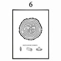 Abstract Minimalist Symbol Canvas Painting Black White Nordic Scandinavian Wall Art Picture Poster Print Living Room Home Decor-10x15cm no frame-design 6-JadeMoghul Inc.