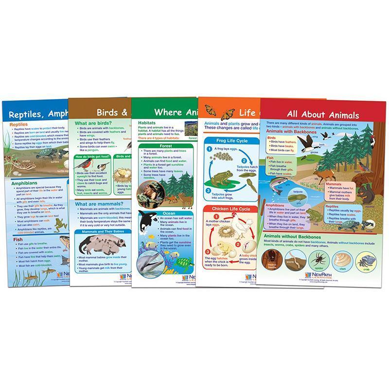 ALL ABOUT ANIMALS SET OF 5-Learning Materials-JadeMoghul Inc.