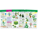 ALL ABOUT PLANTS SET OF 5-Learning Materials-JadeMoghul Inc.