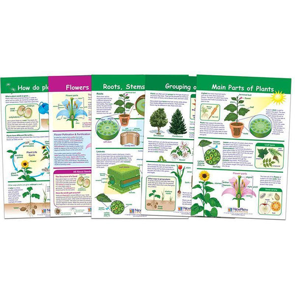 ALL ABOUT PLANTS SET OF 5-Learning Materials-JadeMoghul Inc.