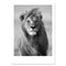 Animal Lion Black White Canvas Poster Nordic Style Sea Forest Landscape Wall Art Print Picture for Living-15x20cm No Frame-Picture 16-JadeMoghul Inc.